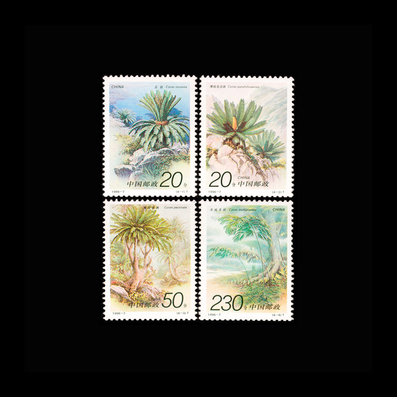 Vintage 1996 Çin Cycas Bitki P - Vintage Collectible Stamps incelemesi ve fiyatı